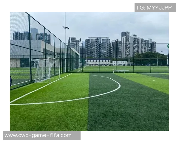 深圳专业足球场建设与管理探讨提升城市体育文化氛围